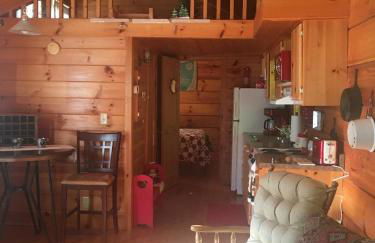 Willow Pond Cabin that is peaceful and quiet - Foto 17