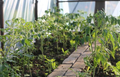 Uroczysko Skomackie - Foto 35