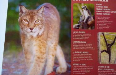 L'OASIS maisonnette centre ville 3 chambres terrasse espace vert privé parc sainte croix center parc 20 minutes - Foto 21