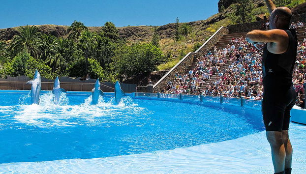 Palmitos Park - Foto 4