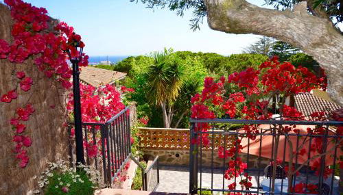 ARTS HOUSE - Cabrils, Maresme, Barcelona - Foto 3, Garden, Garden view