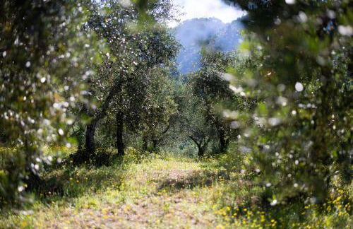 Villa La Selva - Foto 45