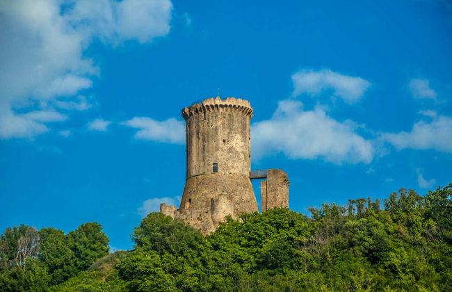 Velia Archaeological Site Excursion - Foto 4