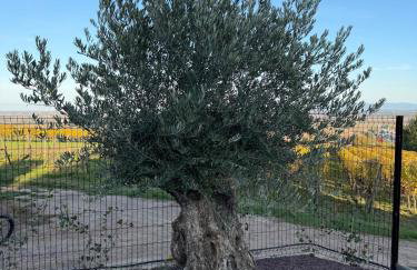 L'écrin d'Anne et Stéphane - vue sur Strasbourg - Foto 26