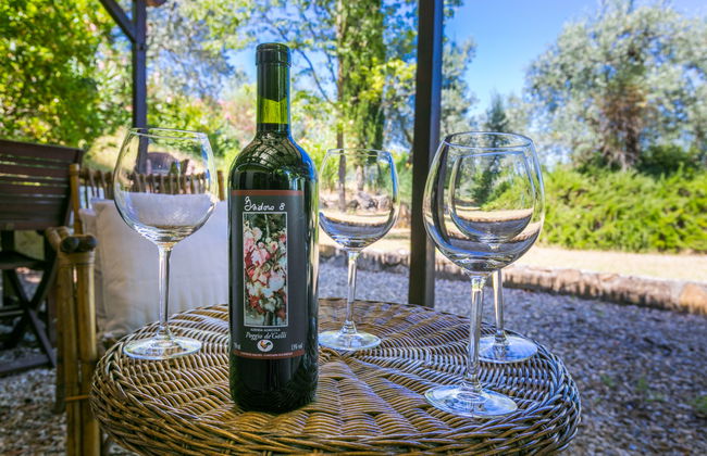 Poggio de'Galli - Foto 43