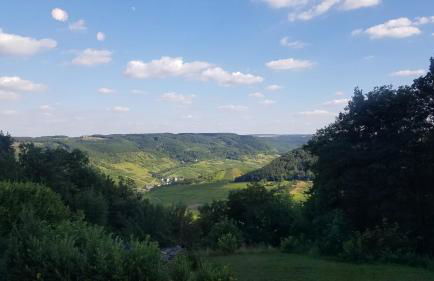 Ferienwohnungen Haus Talblick - Foto 6