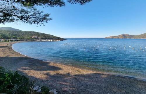 Villa Saint-Michel - Foto 43