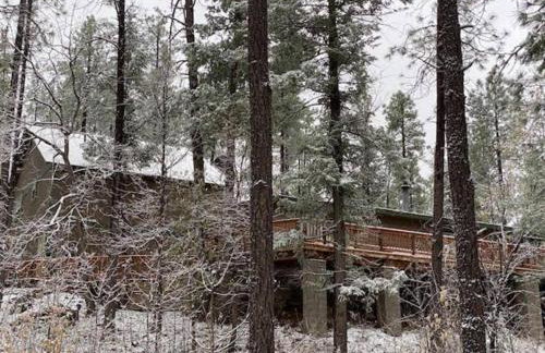 Forest Home Retreat 11 Ridgeview Retreat - Photo 10