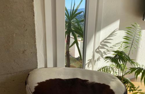 Alojamiento Armenia Patio - Foto 16