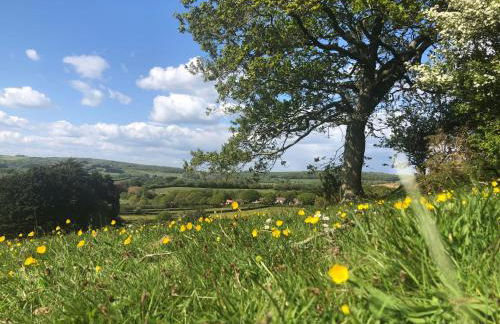 Queen Bower Farm Lodge - Foto 64