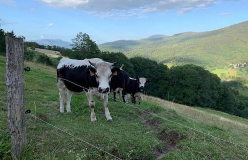Ferme La Tourelle, nature & vue exceptionnelle - Foto 12