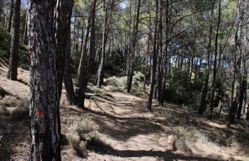 Stone Built Rustic House - Foto 64