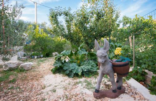 Apartman Ana - Foto 9