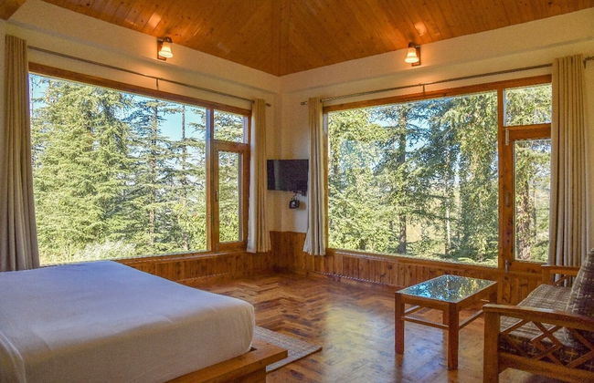 Green Chaklu - Foto 3