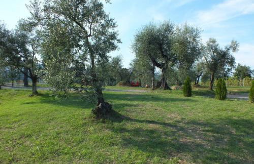 Agriturismo Ai Mandrioli - Foto 75