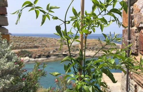 Villa Frear - Foto 62