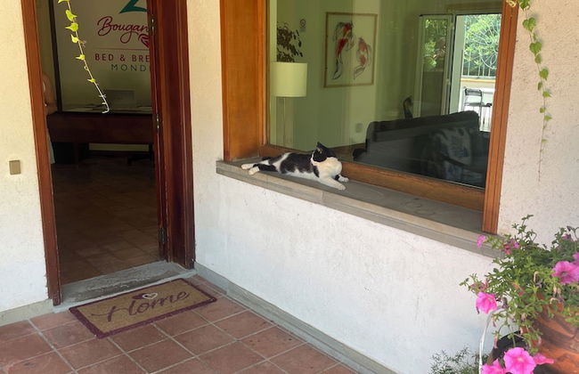 Bouganville Home Mondello - Foto 6