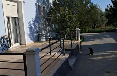 Liberty Cozy Apartment - Foto 13