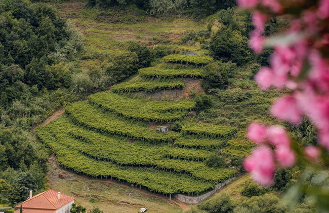 In the Countryside, With Barbecue, Casa do Rosário - Foto 22