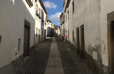 Miranda Tradicional - Foto 32