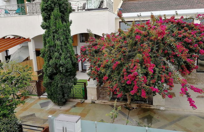 V.I.P. Galatex - Foto 45