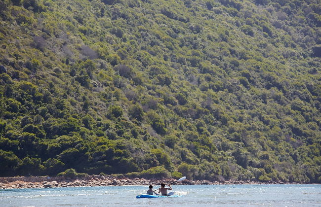 Under Milkwood Resort - Foto 45