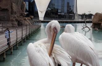 APARTAMENTOS CIUDAD DE LAS ARTES Y LAS CIENCIAS - Foto 42