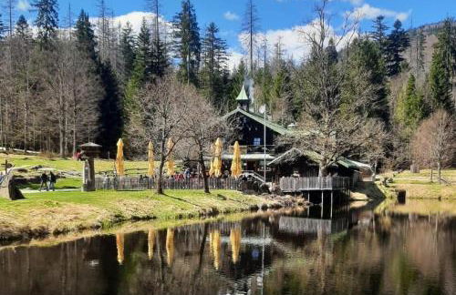 Blockhaus am Baumwipfelpfad - Foto 61