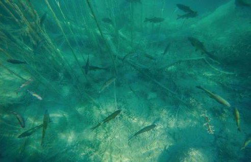 4 Bedroom Pet Friendly Home In Drnis - Foto 38