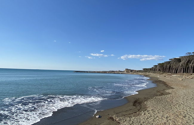 Cecina Mare - Foto 18