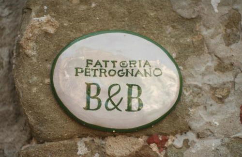 Fattoria Gambaro di Petrognano - Foto 52