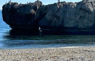 Appartement dans les jardins tropicaux - Photo 13