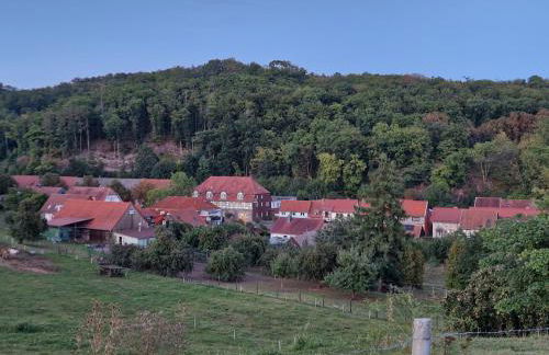Ferienwohnung Zum Alten Cafè - Foto 31