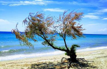 Seaside family Apartment in Paralia Dionisiou - Foto 8