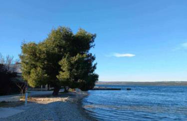 Apartments Oliva - Maslina - Foto 7