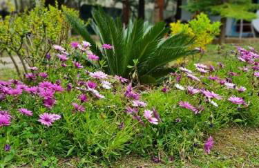 Bill's Garden Villa - Foto 7