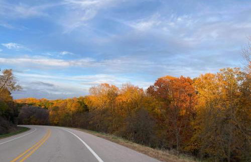 Carries Cabin - Foto 18