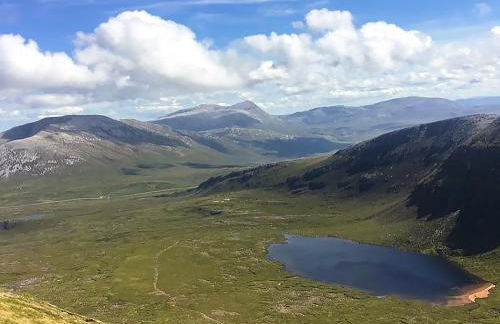 Seafield House - Foto 43