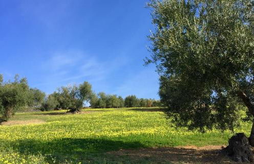 Villa La Fuente - Foto 41