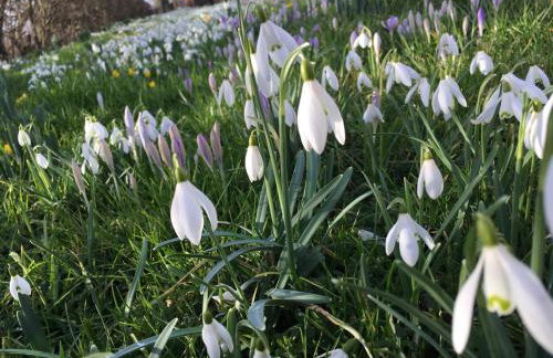 Morndyke Cottage - Foto 20