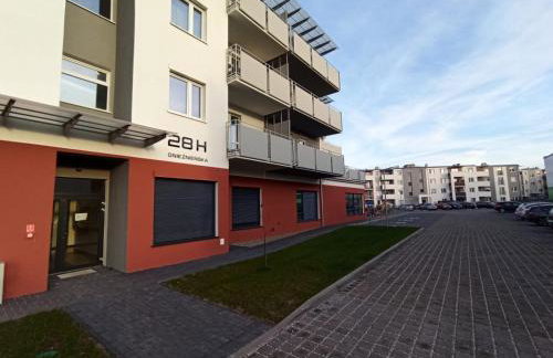 Apartamenty Września - Foto 19