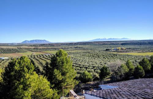 Casas Cueva con piscina y barbacoa - Foto 36