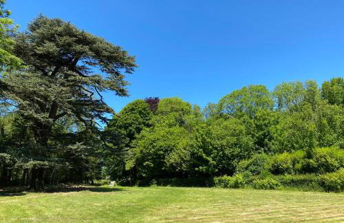 Les gîtes du château du cèdre - Foto 24