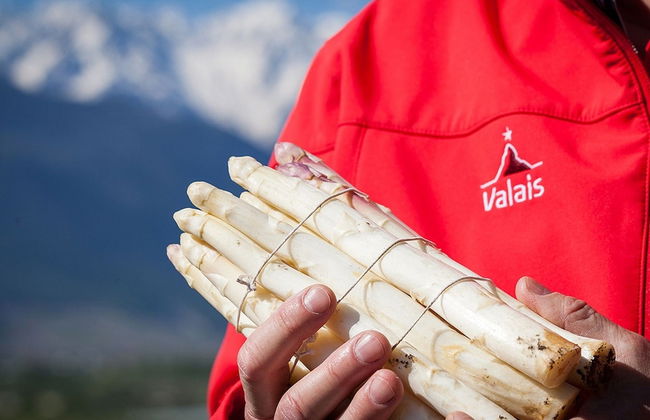 Mountain View Holiday Home in Binntal near Lengtal Deck - Foto 11