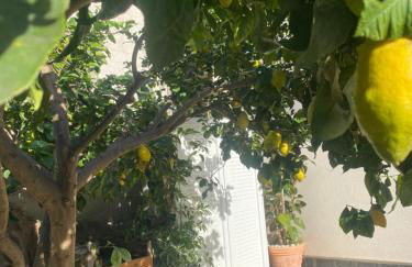 Spacious Apartments 6 Guests - 5 min Airport Ciampino - Train to Rome- LA MAISON - Foto 26