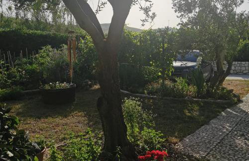 Pag Vlasici - Foto 26