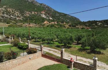 Villa Aelia - Foto 14