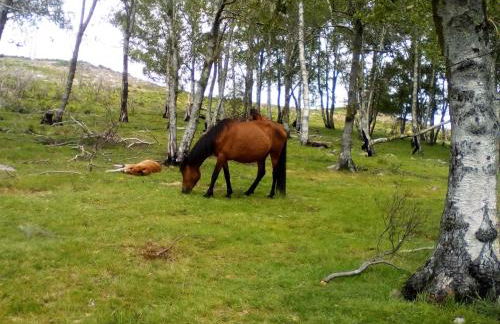 Casa do Chico - Foto 52