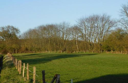 Ferienhaus-Steinburg - Foto 38