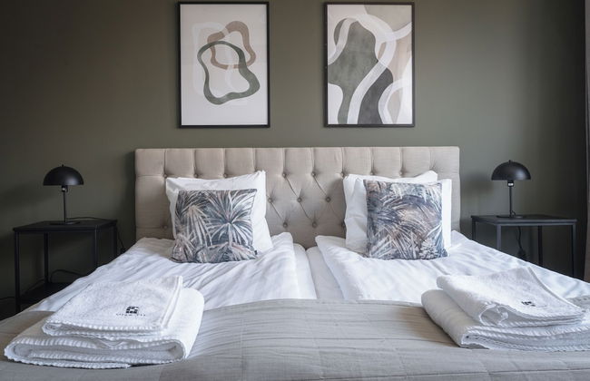 Live and Stay VR40 - Foto 1